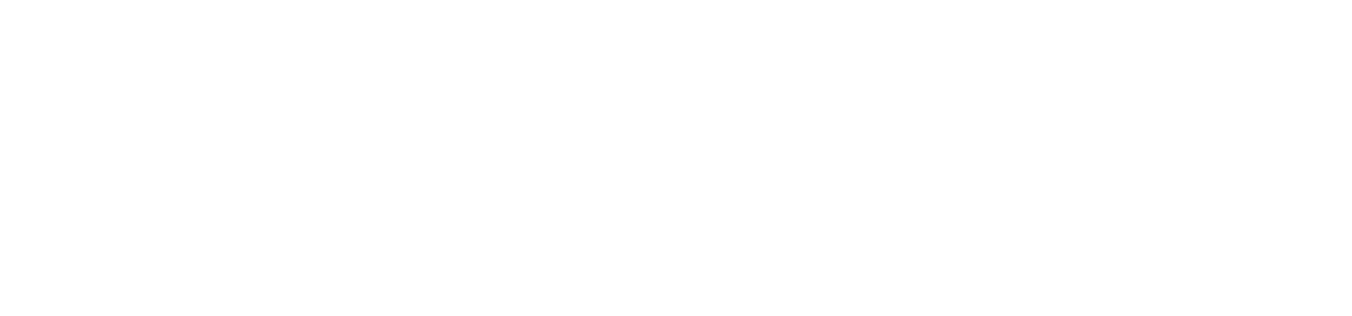 A Company that proposes solutions probrem